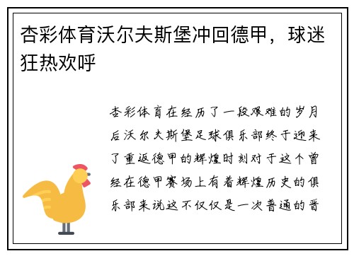 杏彩体育沃尔夫斯堡冲回德甲，球迷狂热欢呼